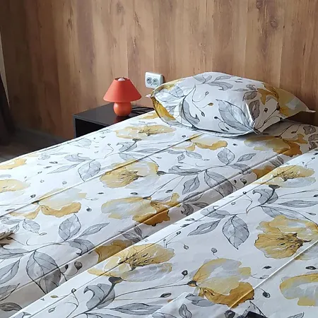 Pensiune къща, за гости мери